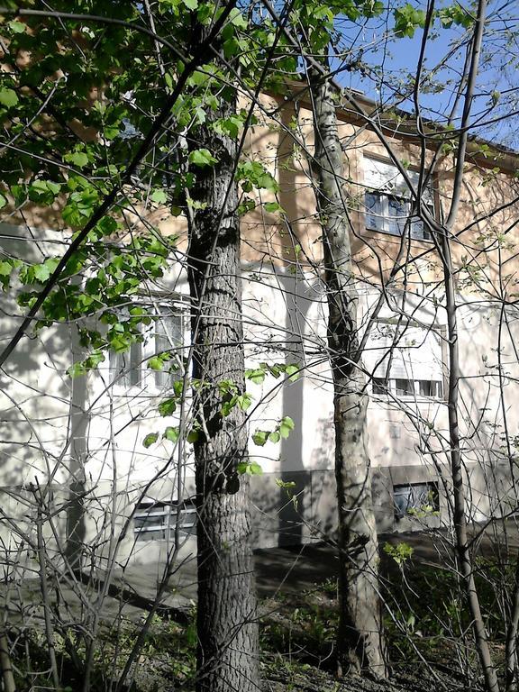 Belvarosi Vendeghaz Miskolc Exterior foto